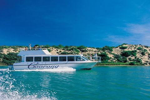 Murray Mouth Cruise - Yamba Accommodation 6