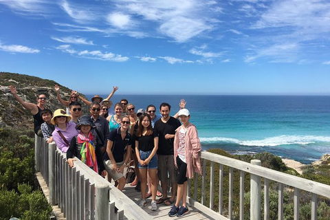 2 Day Kangaroo Island Wildlife Adventure From Adelaide - Yamba Accommodation 0