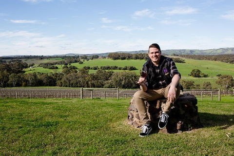 Learn About Biodynamics And Wine Production In McLaren Vale - Yamba Accommodation 1
