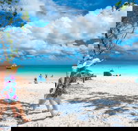 Whitehaven Beach Half-Day Cruises - Yamba Accommodation