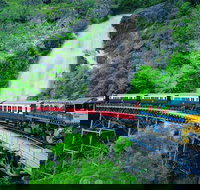 Full-Day Tour with Kuranda Scenic Railway Skyrail Rainforest Cableway and Hartley's Crocodile Adventures from Cairns - Yamba Accommodation