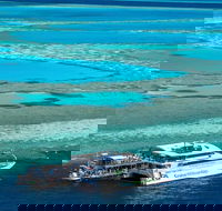Great Barrier Reef Day Cruise to Reefworld - Yamba Accommodation