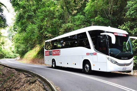 Palm Cove Departure Transfer - Palm Cove To Airport - Yamba Accommodation 1