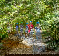 Whitsunday Segway Rainforest Discovery Tour - Yamba Accommodation