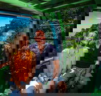 Skyrail Rainforest Cableway Day Trip from Palm Cove - Yamba Accommodation