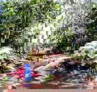 Rainforest Platypus Night Dive Certified Divers Only once day dive completed - Yamba Accommodation