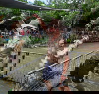 Hartley's Crocodile Adventures Day Trip from Cairns - Yamba Accommodation