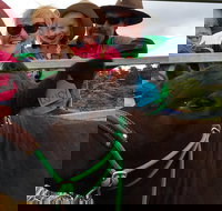 Mackay's Day in the Clouds Paddock to Plate Tour - Yamba Accommodation