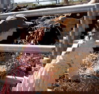 Mackay Farm Food and Flavours Tour - Yamba Accommodation