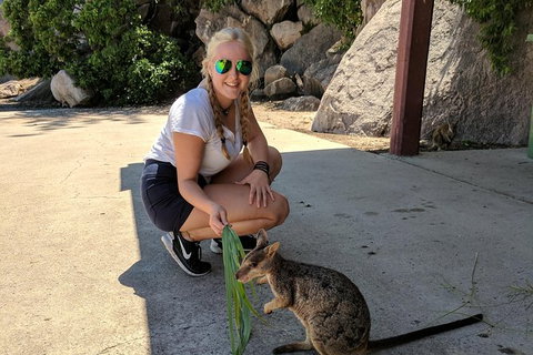 Magnetic Island Tour: Maggie Comprehensive - Yamba Accommodation 9