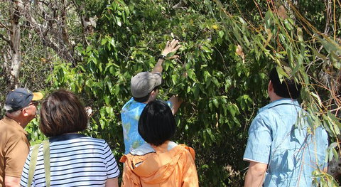 Magnetic Island Tour: Maggie Comprehensive - Yamba Accommodation 6