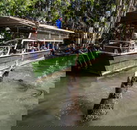 Hartley's Crocodile Adventures Day Trip from Palm Cove - Yamba Accommodation