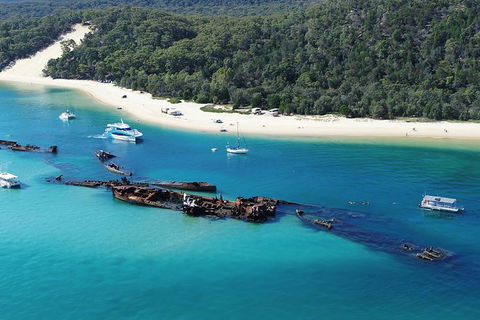 All Inclusive Dolphin And Tangalooma Wrecks Cruise Departing Gold Coast - Yamba Accommodation 0