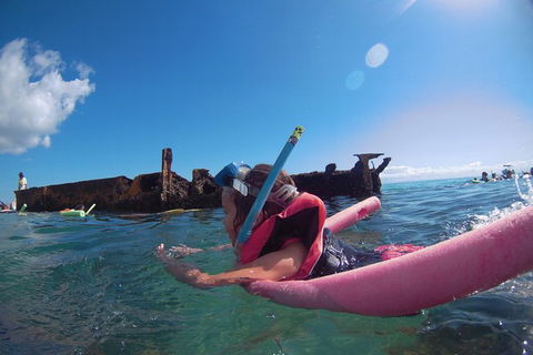 All Inclusive Dolphin And Tangalooma Wrecks Cruise Departing Gold Coast - Yamba Accommodation 1
