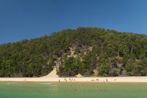 All Inclusive Dolphin And Tangalooma Wrecks Cruise Departing Gold Coast - Yamba Accommodation 3