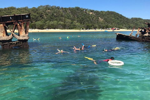 All Inclusive Dolphin And Tangalooma Wrecks Cruise Departing Gold Coast - Yamba Accommodation 9