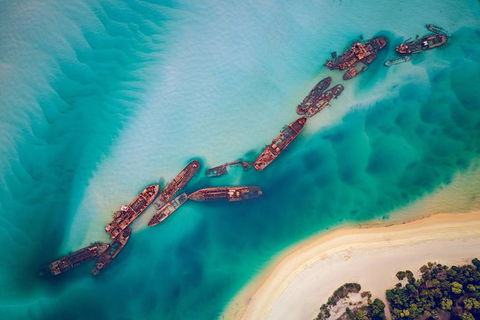 All Inclusive Dolphin And Tangalooma Wrecks Cruise Departing Gold Coast - Yamba Accommodation 6