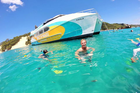 All Inclusive Dolphin And Tangalooma Wrecks Cruise Departing Gold Coast - Yamba Accommodation 2