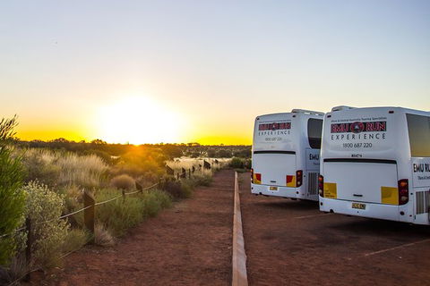 Uluru And Kata Tjuta Experience With BBQ Dinner - Yamba Accommodation 4
