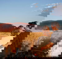 Uluru Ayers Rock Sunset with Outback Barbecue Dinner and Star Tour - Yamba Accommodation
