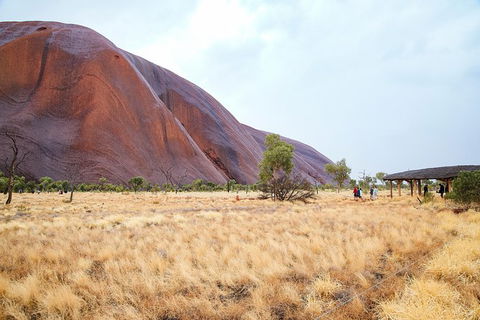 Uluru Sunrise And Guided Base Walk - Yamba Accommodation 6