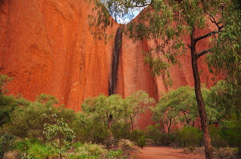 Uluru Sunrise And Guided Base Walk - Yamba Accommodation 14