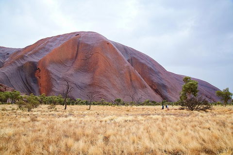 Uluru Base And Sunset Half-Day Trip With Optional Outback BBQ Dinner - Yamba Accommodation 10