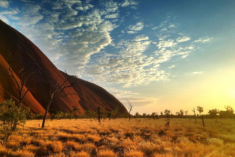 Highlights Of Uluru Including Sunrise And Breakfast - Yamba Accommodation 5