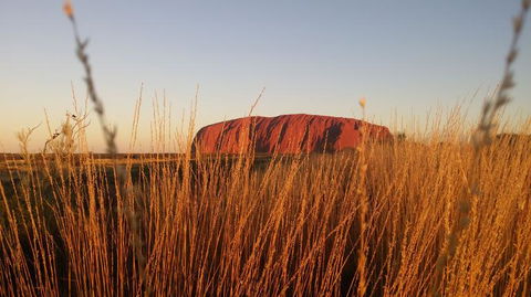 4-Day Camping Trip From Ayers Rock Including Uluru, Kata Tjuta And Kings Canyon - Yamba Accommodation 2