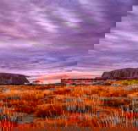 4-Day Camping Trip from Ayers Rock Including Uluru Kata Tjuta and Kings Canyon - Yamba Accommodation
