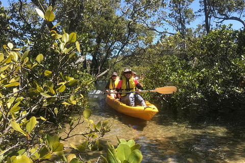 Paddle In Paradise - 4 Hours Double Kayak Hire - Yamba Accommodation 1