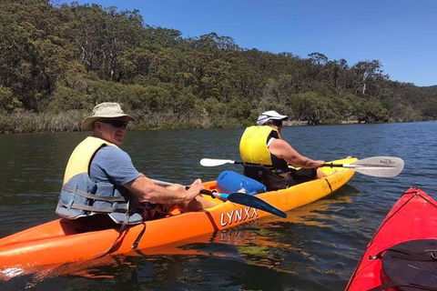 Paddle In Paradise - 4 Hours Double Kayak Hire - Yamba Accommodation 4