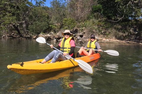 Paddle In Paradise - 4 Hours Double Kayak Hire - Yamba Accommodation 6