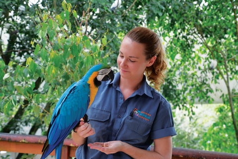 Birdworld Kuranda - Yamba Accommodation 1