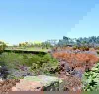 Bladensburg National Park - Yamba Accommodation