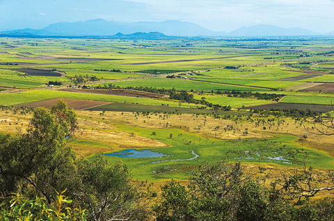 Burdekin - Yamba Accommodation 1