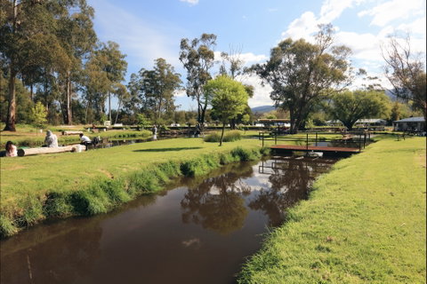 Buxton Trout And Salmon Farm - Yamba Accommodation 1