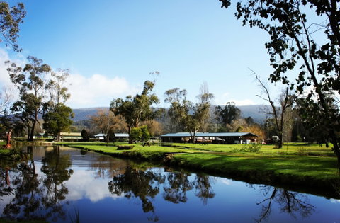 Buxton Trout And Salmon Farm - Yamba Accommodation 2
