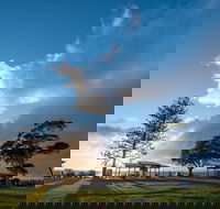 Cleveland Nandeebie/Indillie - Yamba Accommodation