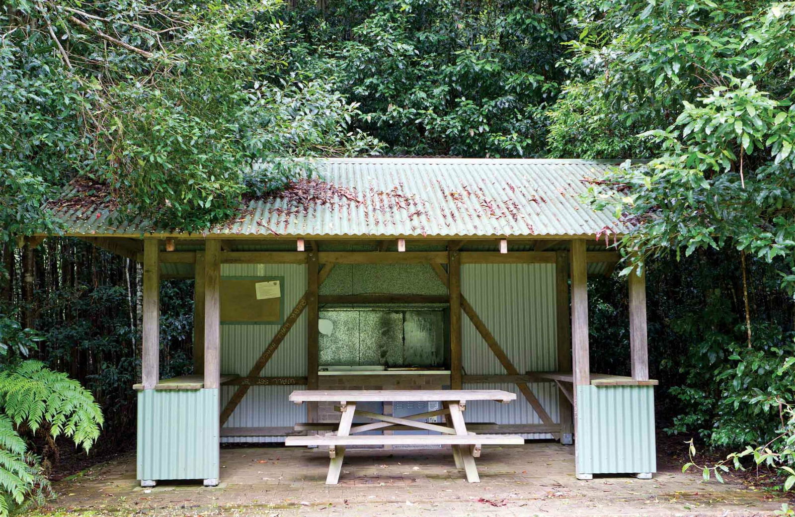 Gibraltar Range NSW Yamba Accommodation