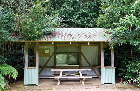 Coachwood Picnic Area - Yamba Accommodation 0