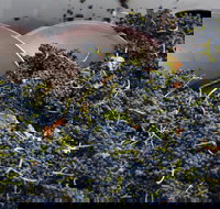 Coldstream - Yamba Accommodation