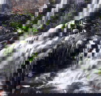 Darkes Forest - Yamba Accommodation