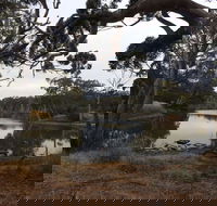 Duck Lagoon - Yamba Accommodation