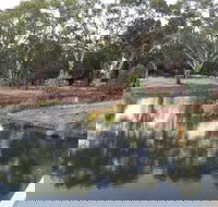 Green Corridor Walking Track - Yamba Accommodation