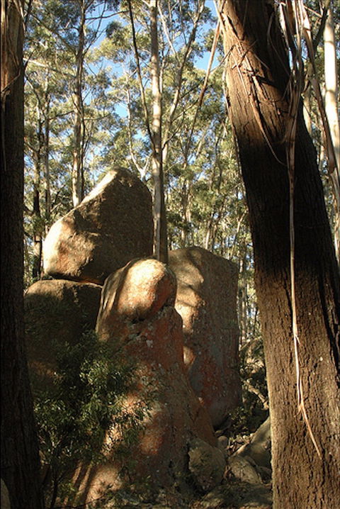 Gulaga National Park - Yamba Accommodation 0