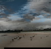 Hardwicke Bay - Yamba Accommodation