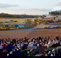 Ipswich Motorsport Precinct - Yamba Accommodation