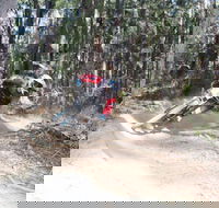 Jolly Nose Mountain Bike Park - Yamba Accommodation