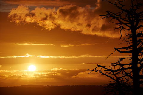 Lady Stonehavens Lookout - Yamba Accommodation 0